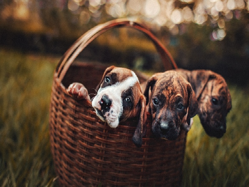 长沙试管前每天饮食（试管期间天天困）